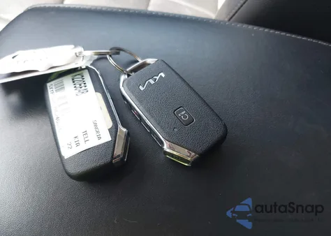 2022 Kia Telluride Sx from USA, damaged, VIN 5XYP5DHC7NG240816